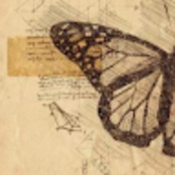 Meet your Posher, Mckenna - Picture 1 of 1